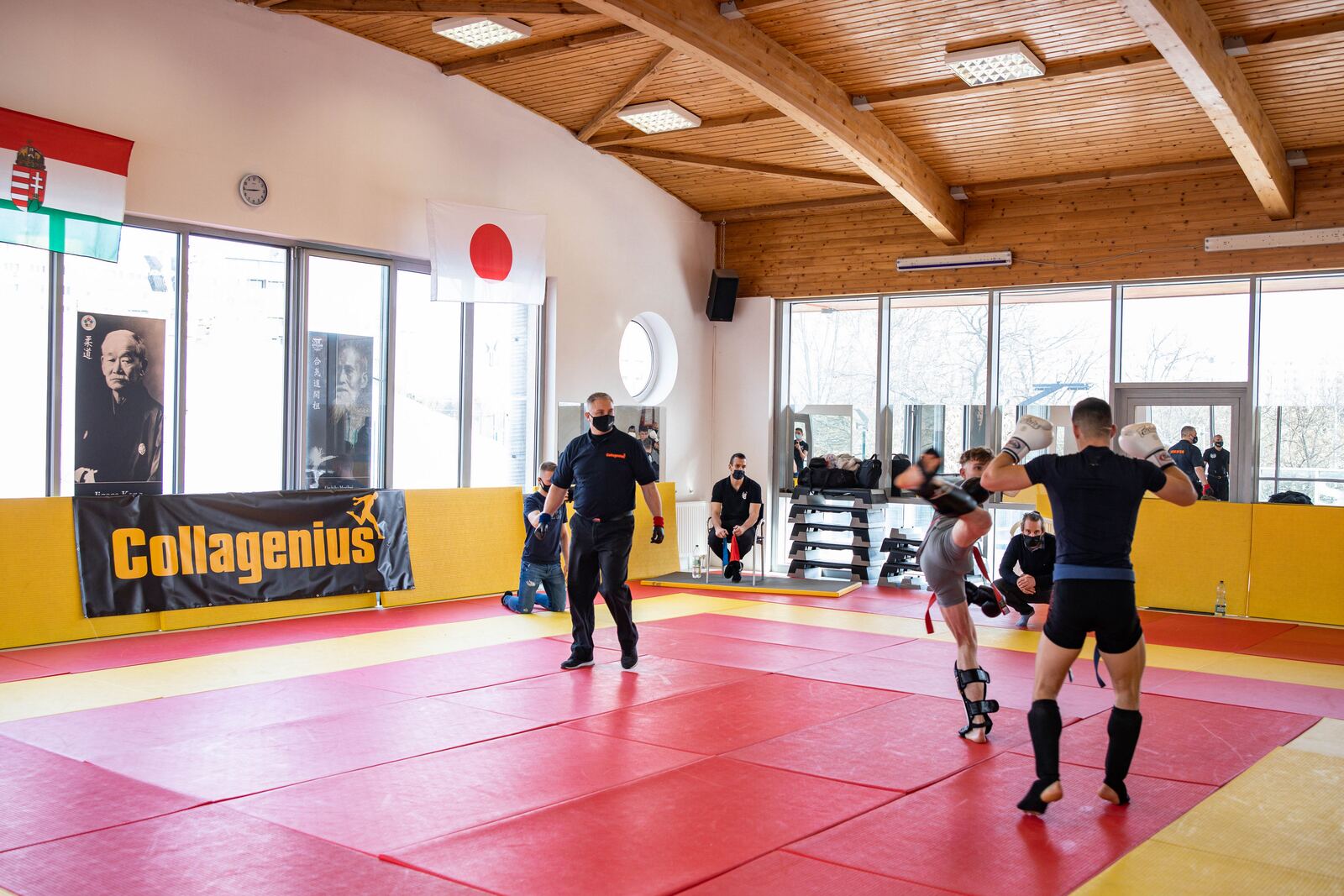 Küzdősportverseny Collagenius molinóval a háttérben